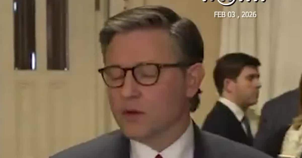 Speaker Johnson Says Republicans Ended Shutdown Despite Democratic Opposition