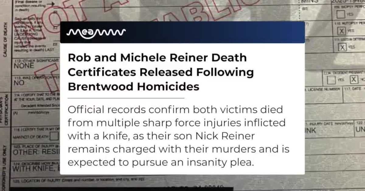 Death Certificates Reveal Details in Rob and Michele Reiner Case