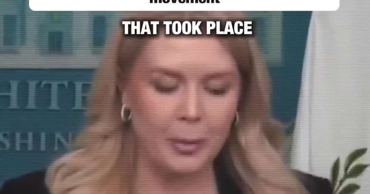 Karoline Leavitt links Minneapolis ICE shooting to what she calls a broader left-wing movement