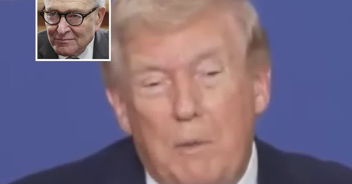 ‘He Used to Be Pro-Israel’: Trump Targets Schumer, Questions His Reelection