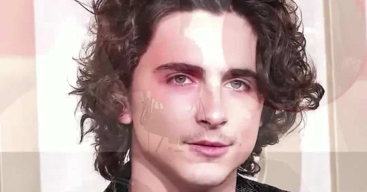 Timothée Chalamet Ends EsDeeKid Alter-Ego Rumors With Rap Video