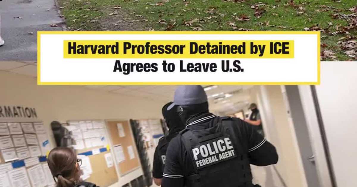 Harvard Professor Detained by ICE After Synagogue BB-Gun Incident Agrees to Leave the U.S