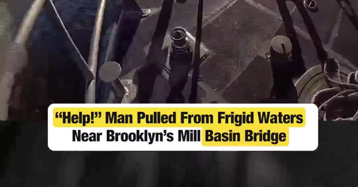 “Help!” Man Pulled From Frigid Waters Near Brooklyn’s Mill Basin Bridge