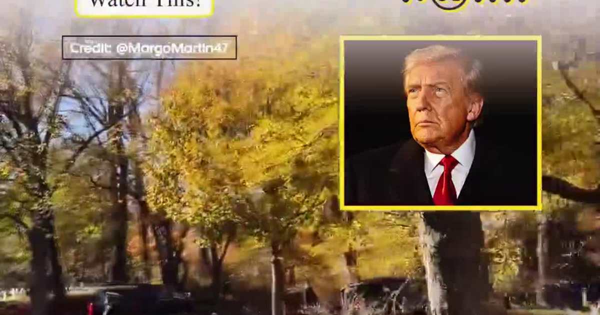 President Trump Receives 21-Gun Salute at Arlington Cemetery on Veterans Day