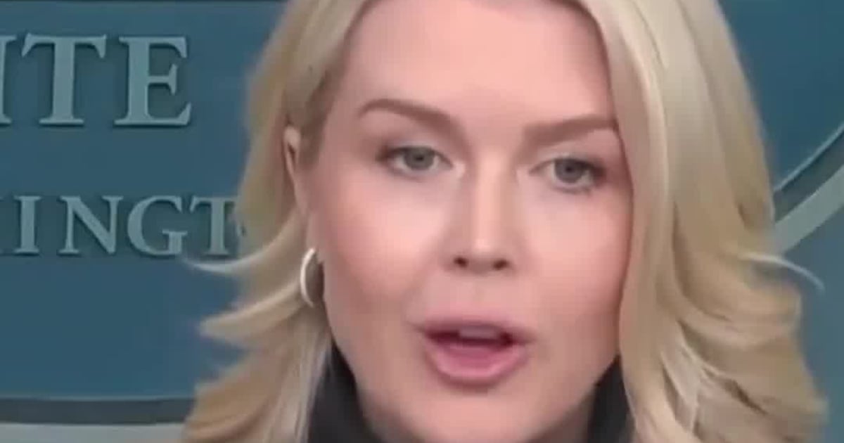 Leavitt Says Federal Officers Face Harassment and Threats as Minneapolis Unrest Continues